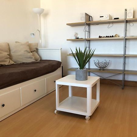 Appartement Lumineux, Avec Balcon, A 200M De La Plage 昂代 外观 照片