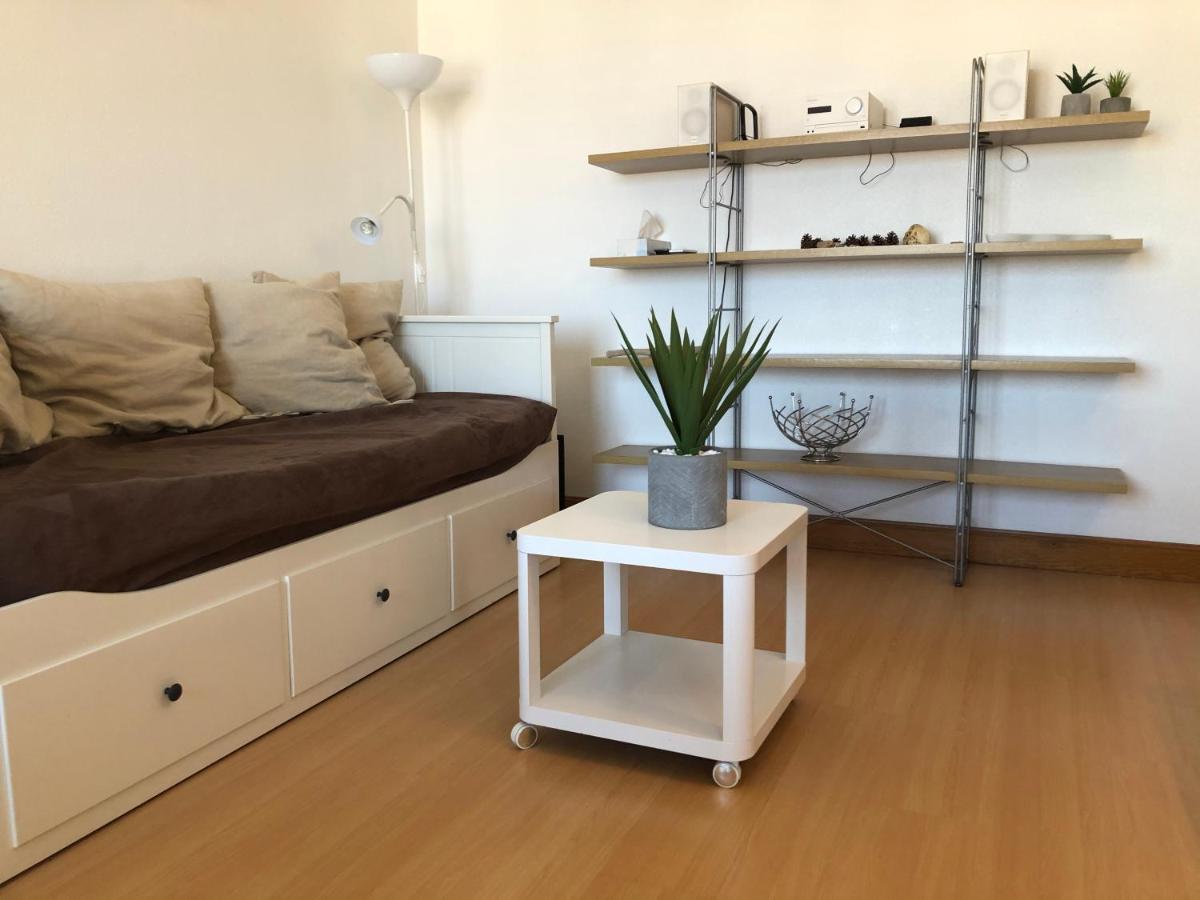 Appartement Lumineux, Avec Balcon, A 200M De La Plage 昂代 外观 照片